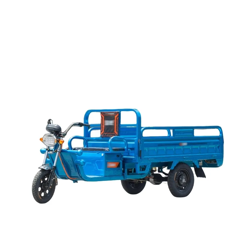 Three Wheel Truck Tricycle Motorcycle Cargo Electric Tricycle