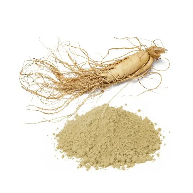 Nahrungs ergänzungs mittel 99% koreanisches rotes Ginseng wurzel extrakt Ginseng pulver für Ginseng