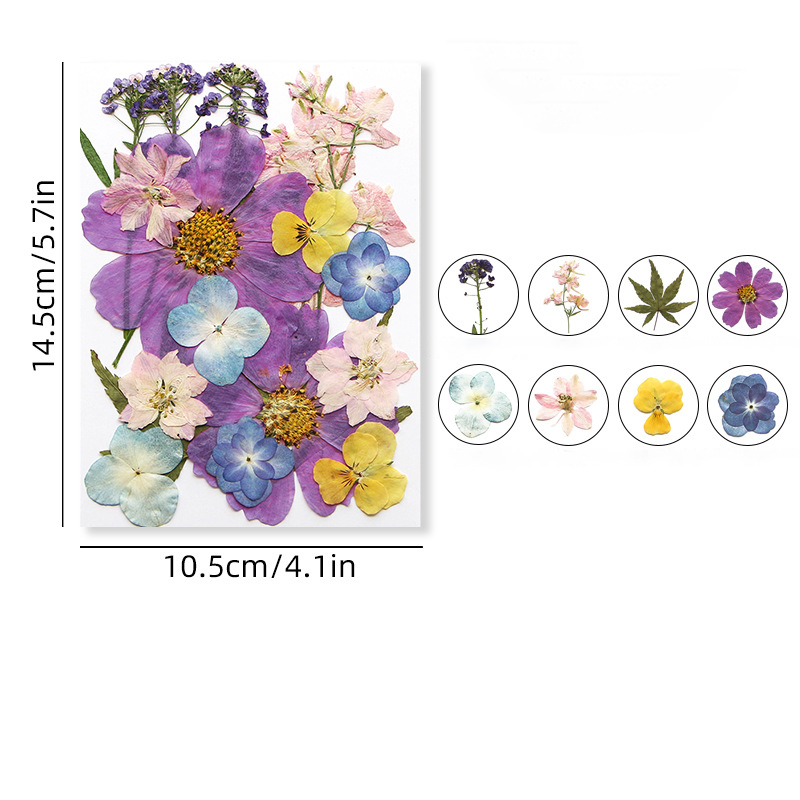 14 (16-23pcs)