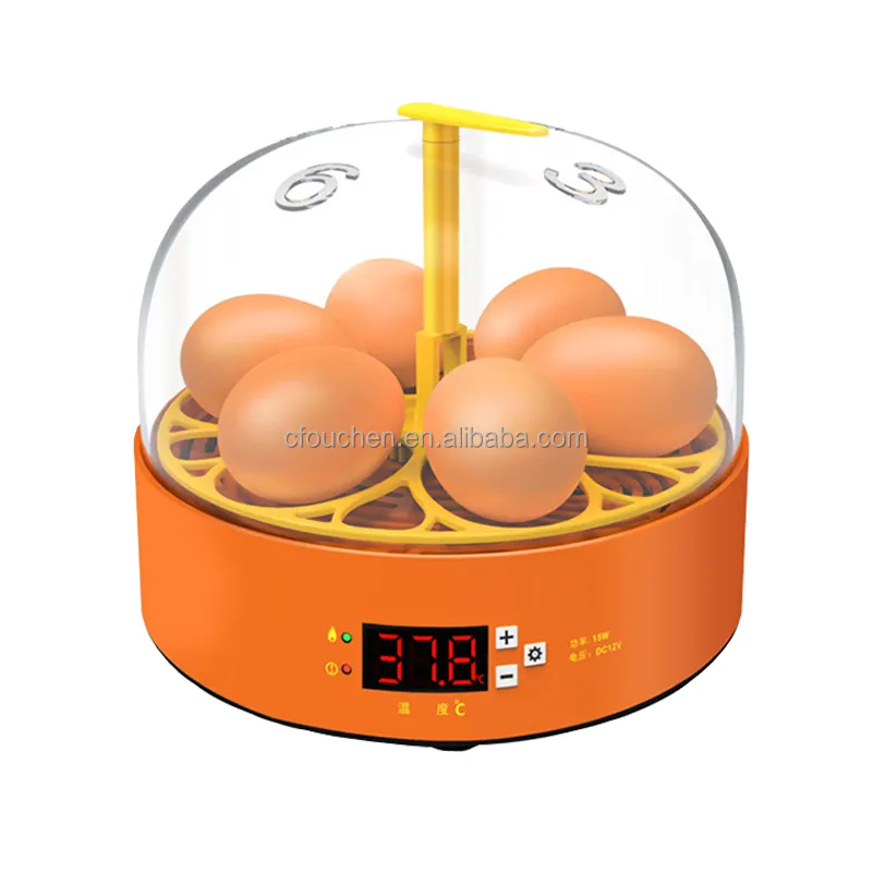 Ouchen-miniincubadora de huevos comercial para niños, máquina de incubación de 6 huevos pequeños, juguetes para niños, regalo