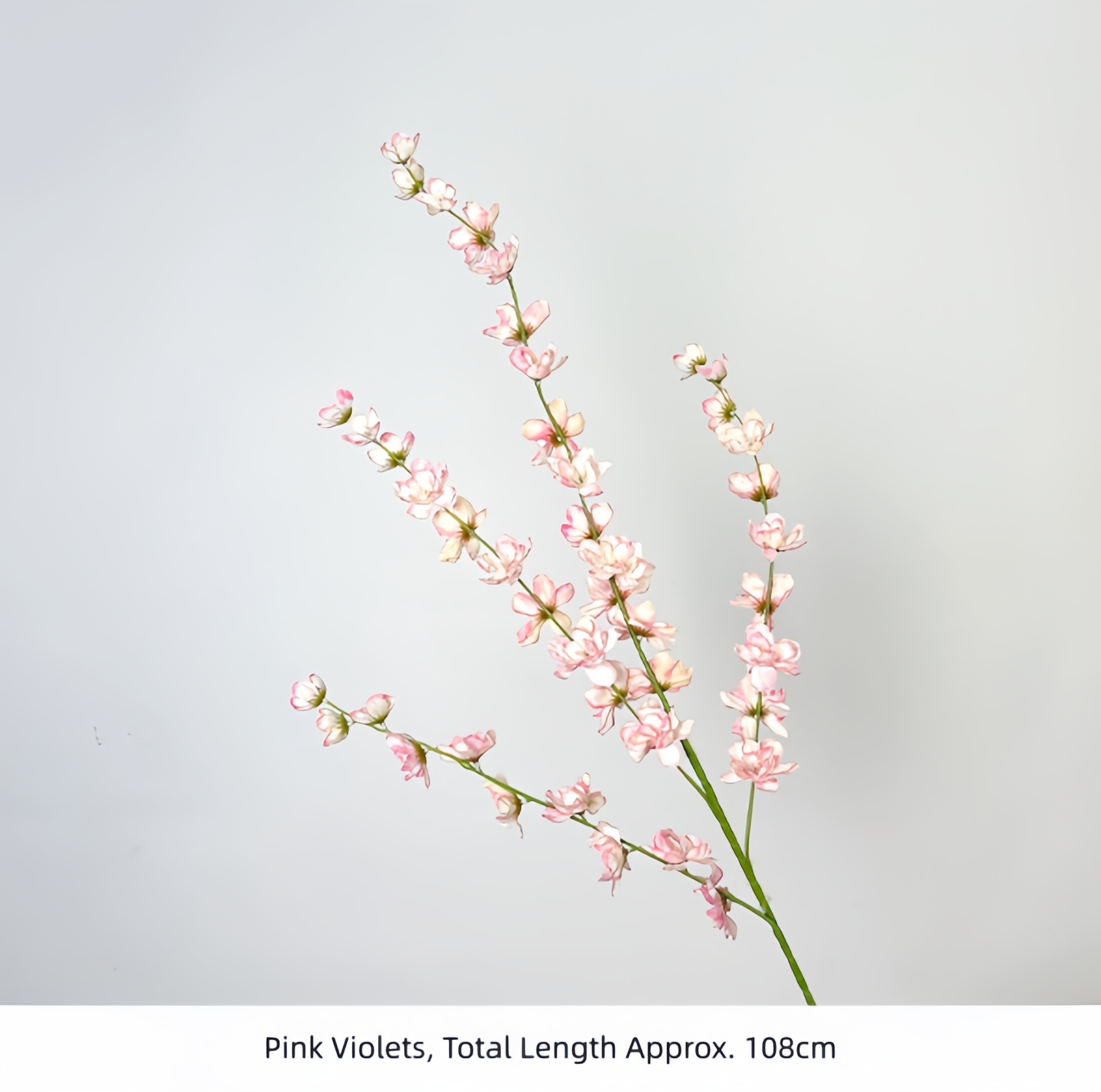 Pink Violets