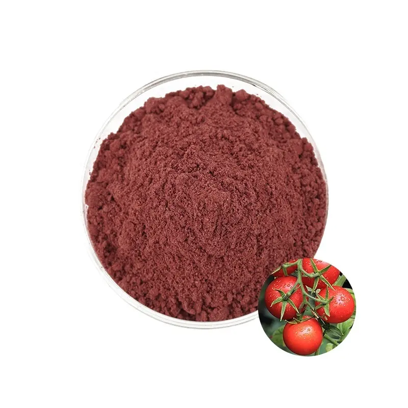 Fabricant de poudre de tomate naturelle biologique de haute qualité Extraction de tomate déshydratée