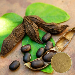 ผงสารสกัดจากสมุนไพรจาก <span class=keywords><strong>Mucuna</strong></span> <span class=keywords><strong>pruriens</strong></span> ธรรมชาติเกรดอาหารใช้ในบรรจุภัณฑ์กลอง - Product Image 6
