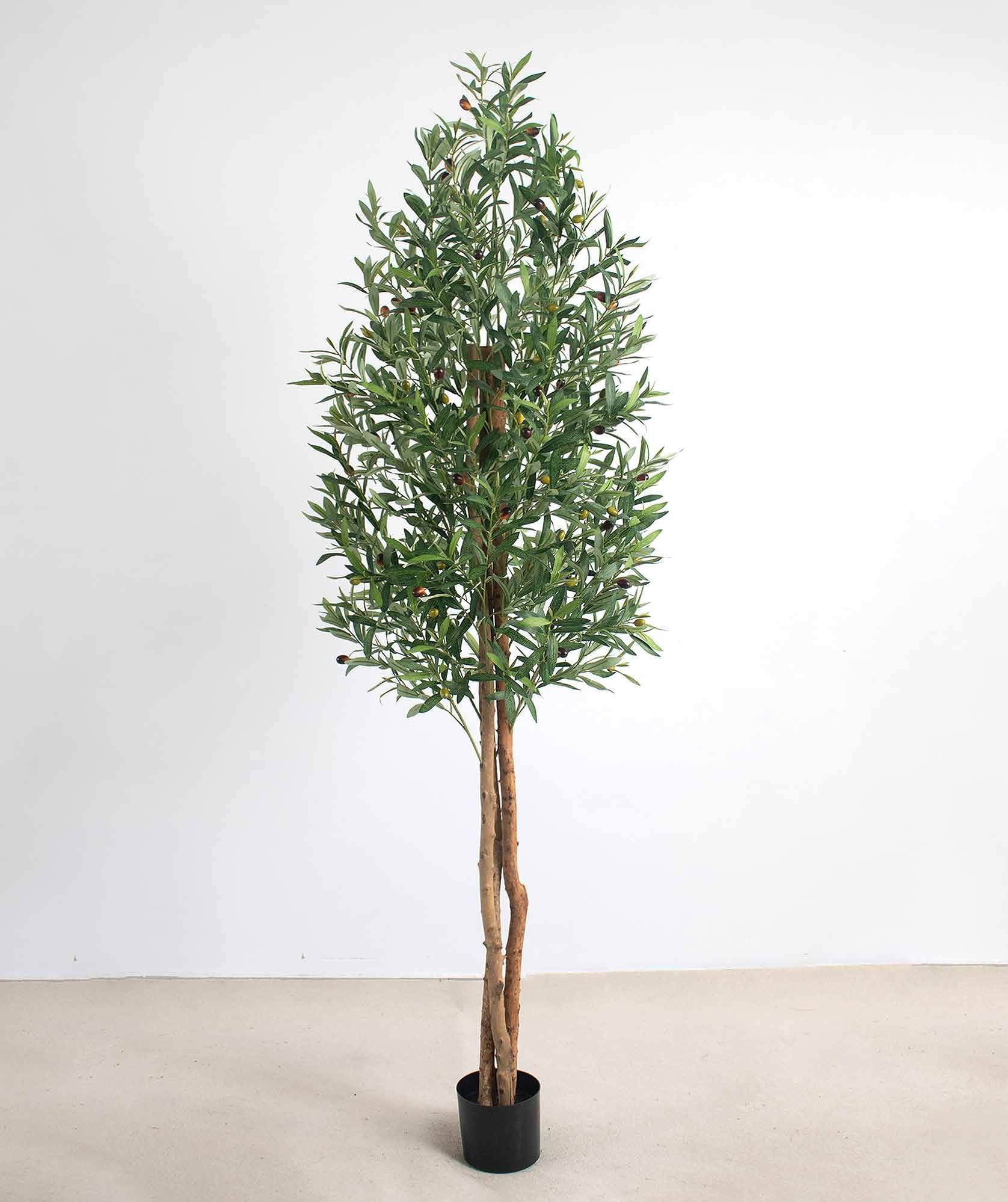120cm