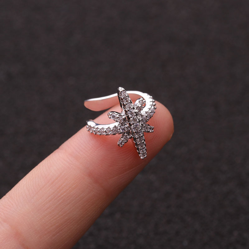 Argent-6