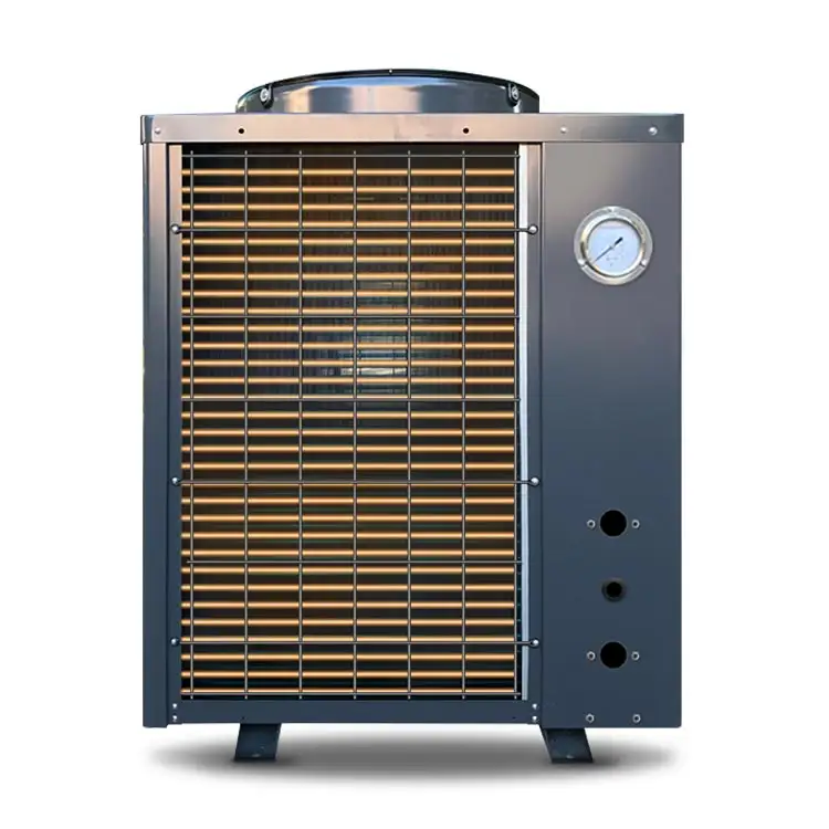 Chauffe-eau électrique de piscine, 220 v, pompe à Air thermique, Mini Source d'air