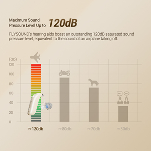 Professional 120dB Output <strong>Adaptive</strong> Scenario Ear Amplifier Invisible 50 Channels Hearing Aid APP Fitting Professional Hearing - Product Image 4