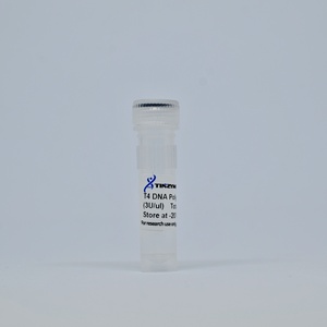 Tinzyme T4 DNA <strong>Polymerase</strong>,not Contain Exonuclease Activity of 5' to 3' DNA,can Be Inactivated by Heating at 70 for 10 Minutes - Product Image 4