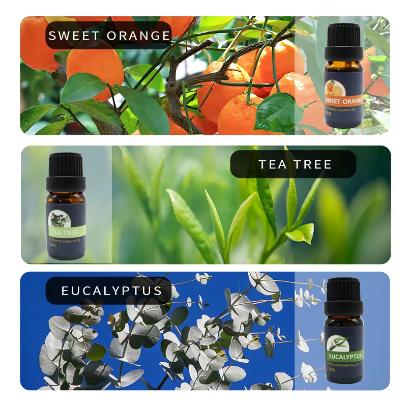 Essential Oils 100% 6PCS Set Flower Aromatherapy Essential Oil Private Label Natural 100% Pure Lavender Peppermint Tea Tree Massage Essential Oils