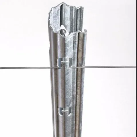Scheggia