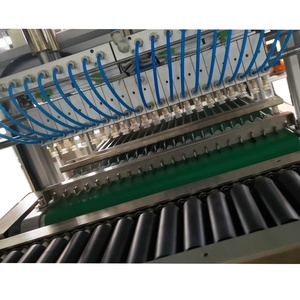 Máquina clasificadora de carga de tubos de ensayo de sangre de CA de alta eficacia Máquina clasificadora de tubos de plástico - Product Image 2