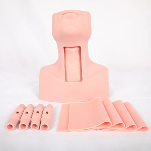 Thyrocricocentesis Tracheotomy Intubation Training Model Sciedu Anatomy Model <strong>Human</strong> Body PVC Medical Training Manikin - Product Image 2