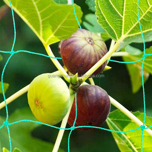 Il traliccio vegetale per piselli è un'alternativa conveniente alla rete rampicante di supporto per piante in rete metallica tradizionale - Product Image 3
