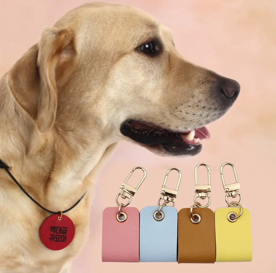 Targhetta con nome per cani collana con targhetta in pelle per animali domestici etichetta per carta d'identità per cani di piccola taglia media