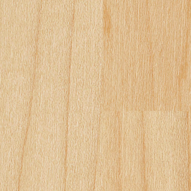 KU24399 _ C01