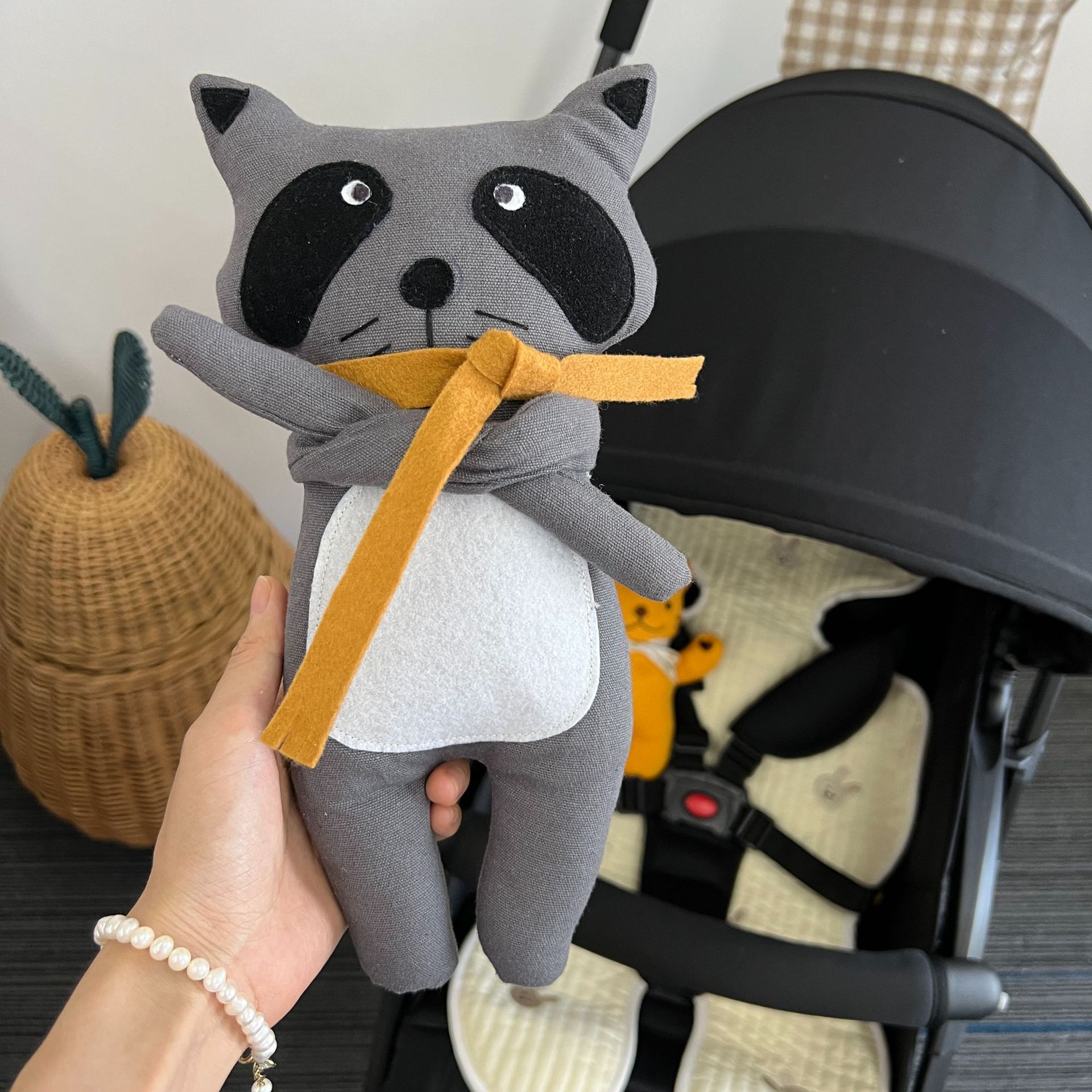 Raccoon (real shot high quality)