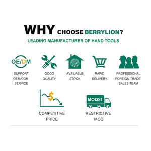 Berrylion G30/G100专业割炬多用火焰枪气体火焰喷射器气枪加热焊枪 - Product Image 2