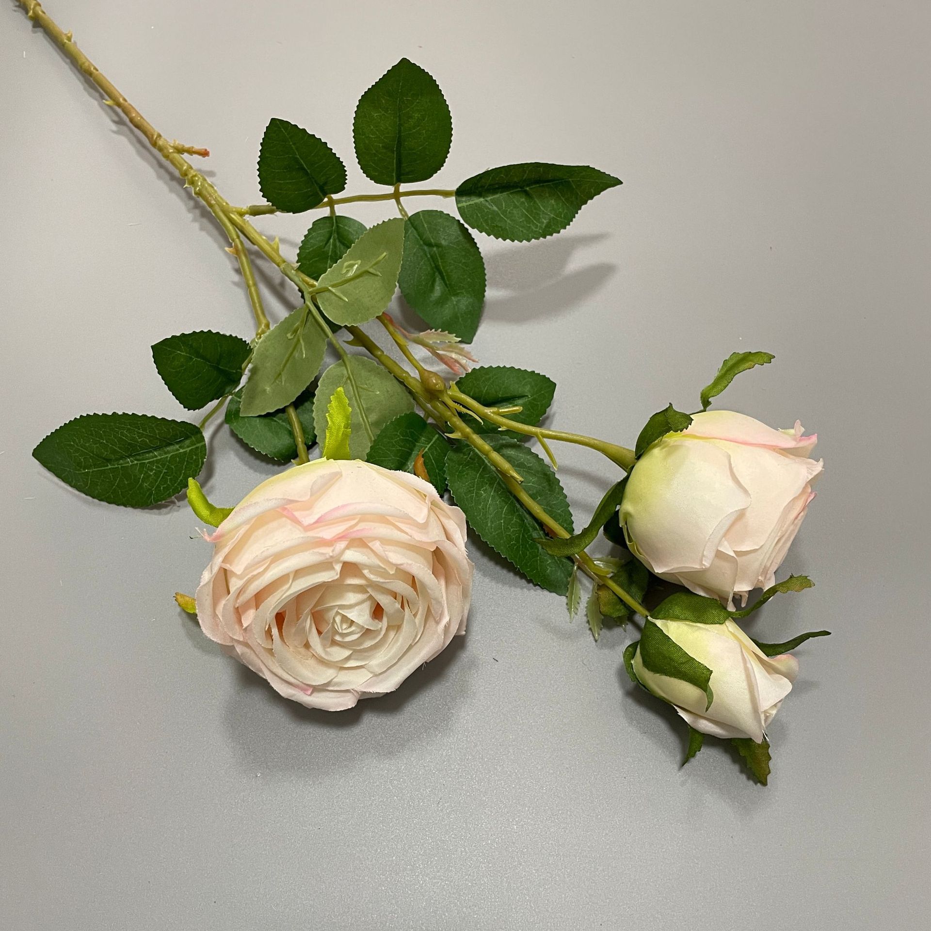 #10 Rose