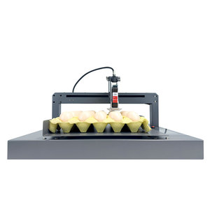Hochwertige automatische Datums code Online-Logo-Druckmaschine Tinten strahl drucker für Hühnerei - Product Image 5