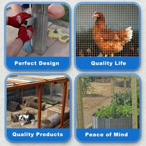 Оцинкованная проволочная сетка - Product Image 6