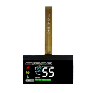 Display LCD a segmenti COG VA personalizzato Display LCD a segmenti stampati a colori LCD bianco su nero - Product Image 3