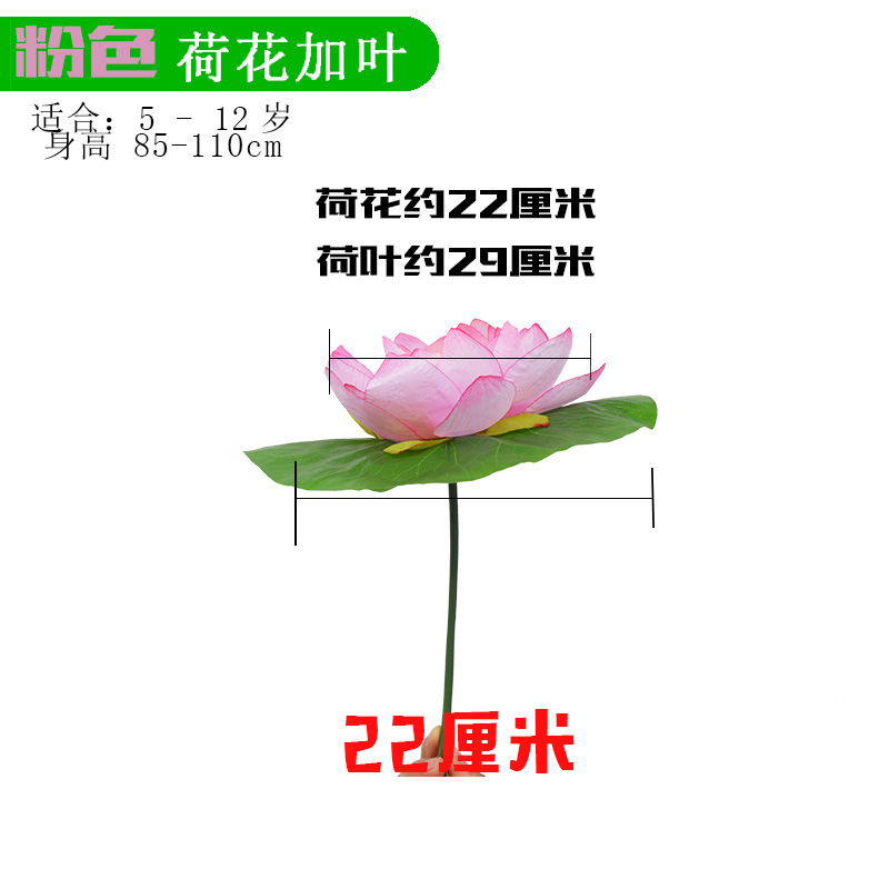 Lotus leaves with white and pink edges lotus flowers