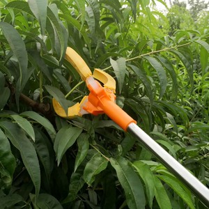 Meyve seçici aracı, pençe ve kutup ile meyve seçici montajı kolay, portakal, elma, limon, armut, nar için meyve seçici kullanın - Product Image 4
