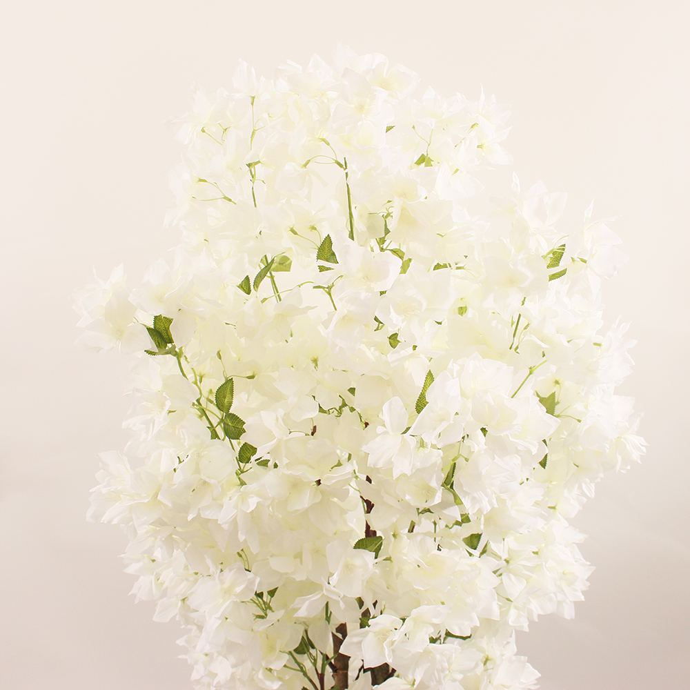 Blanc