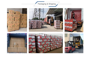 Halojen tüp ısıtıcı fabrika doğrudan satış otomatik haddeleme fonksiyonu ve hızlı ısıtma ile dayanıklı halojen ısıtıcı - Product Image 3