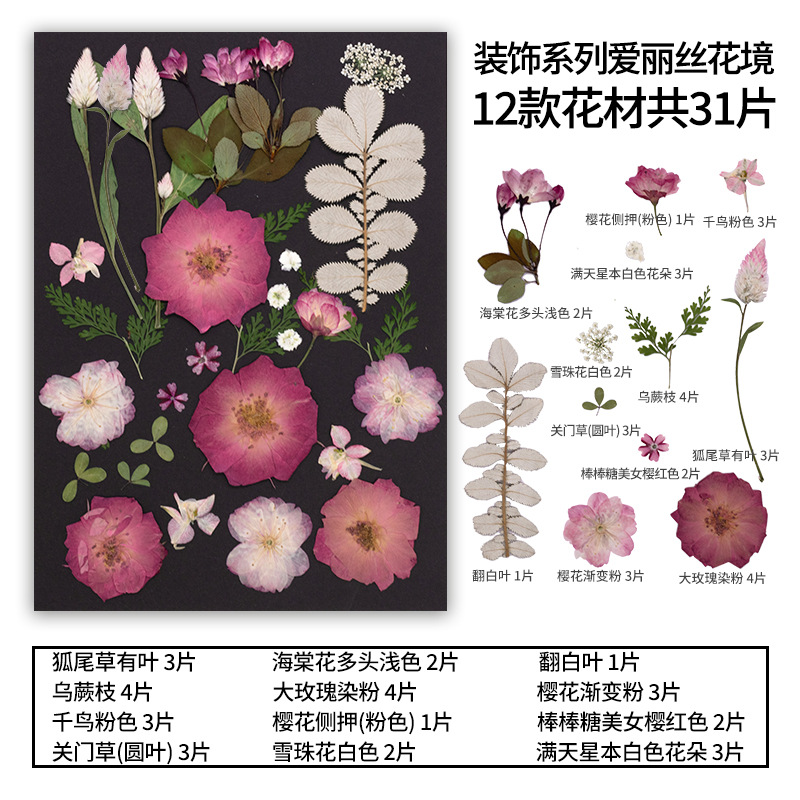 MH575-7 Alice 31 pcs/bag