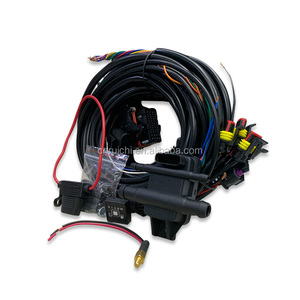 Automotive Electronic <strong>Control</strong> Unit 48 Pin Cng/Lpg Ecu for <strong>Sequential</strong> Injection <strong>System</strong> - Product Image 3