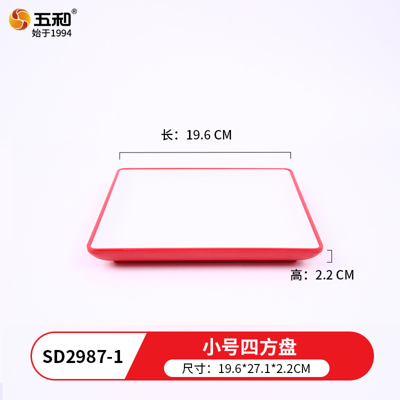 Small Square SD2987-1