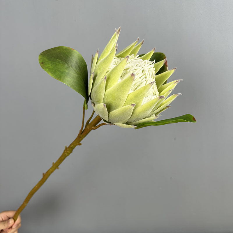 Large size Green
