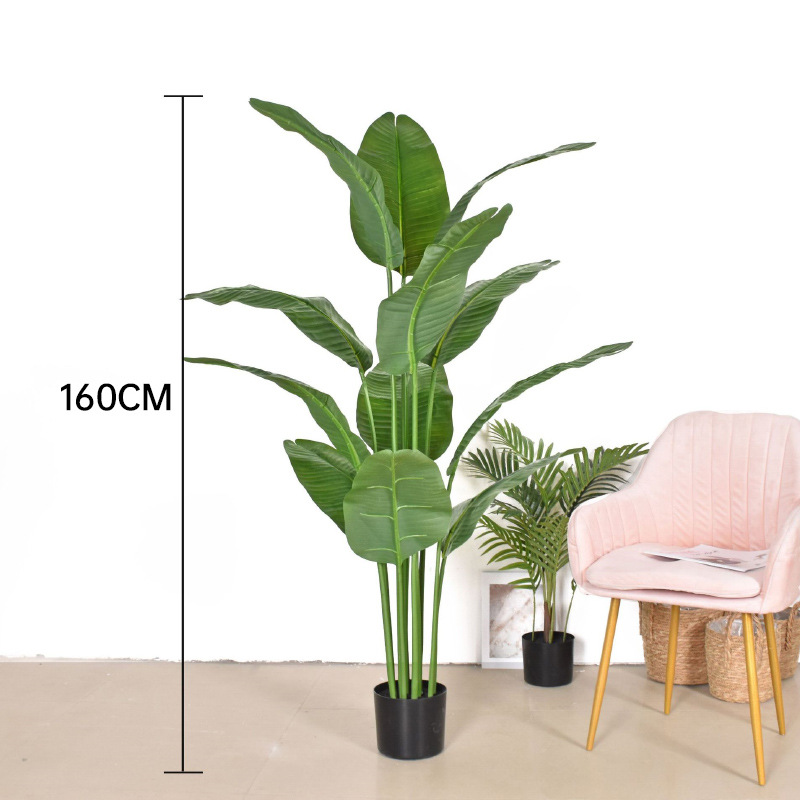 16m-bird of paradise 12 leaves simulation