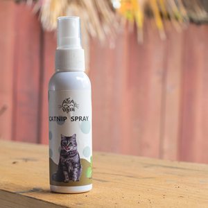 Unique Decorative Cat Grass Kit with Organic Planter Trellis Free Cat Toy <strong>Catnip</strong> Spray for Outdoor Garden <strong>Use</strong> - Product Image 4