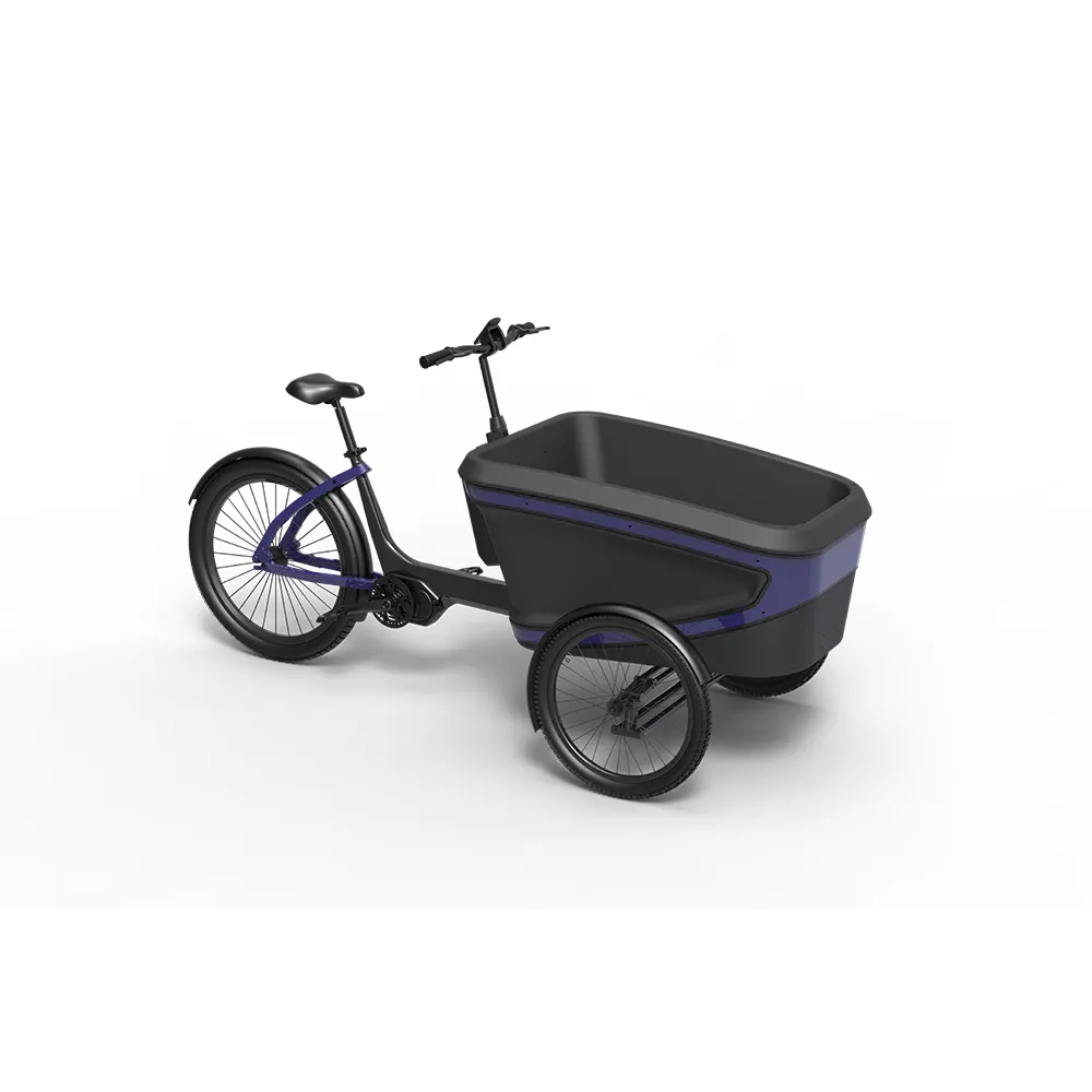 Bici elettrica di alta qualità 3 ruote cargo anteriore epp box pedale cargo bike triciclo elettrico trike famiglia e bicicletta