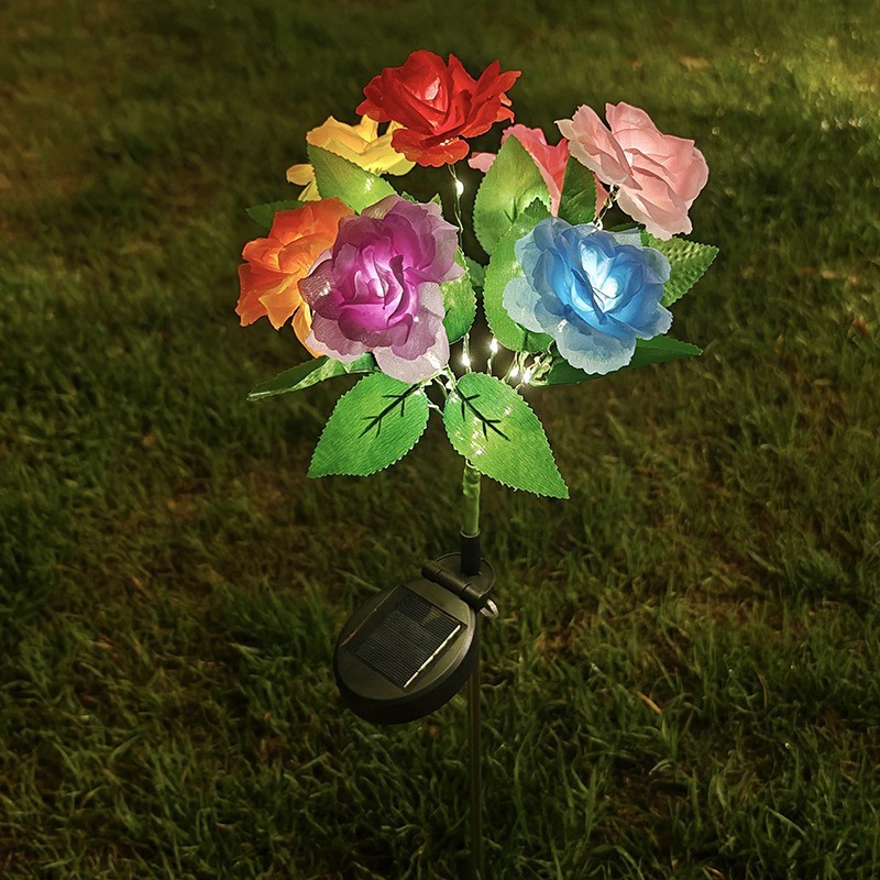 Multicolor Rose