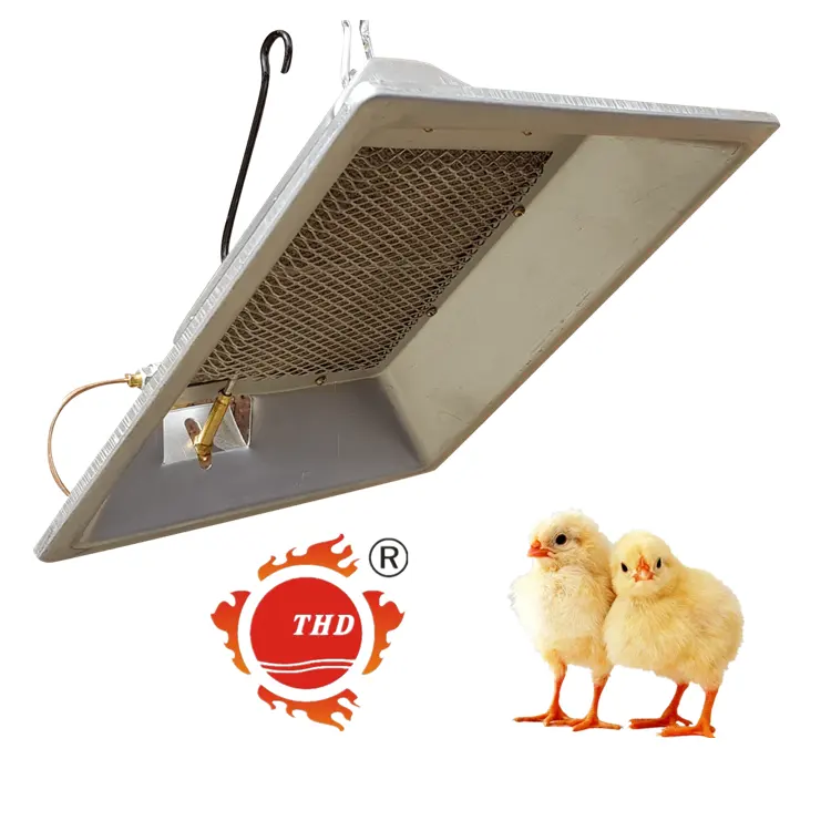 Enerji tasarrufu fabrika doğrudan kızılötesi gaz Brooder ısıtıcı civciv hayvancılık tavuk çiftliği için