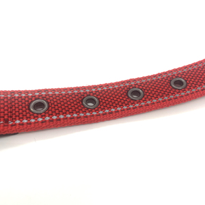 Anyang-<span class=keywords><strong>collar</strong></span> ajustable de nailon con forro eoprene para perro, ajustable y cómodo - Product Image 5