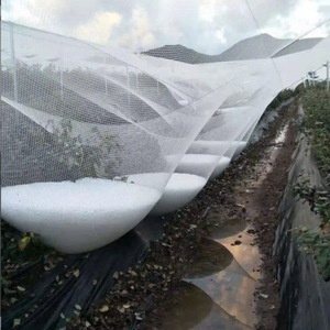 Lưới chống mưa đá chất lượng cao tùy chỉnh, lưới nông nghiệp nhựa HDPE, lưới chống chim nông nghiệp 60g 70g, lưới chống mưa đá - Product Image 1