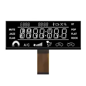 Custom Professional Medical Instrument 7-Segment <strong>LCD</strong> <strong>Display</strong> Cog Type with ST7789 Driver IC - Product Image 5