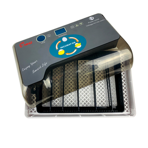 HHD Mini 12 Capacity Auto Turned Egg LED Lighting Function Automatic Chicken Egg Incubators Hatching Machine for Home and Sale - Product Image 2
