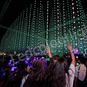 Magical DMX 3D Pixel Ball LED RGB Cortina Bola Cadena Luces Controladas por DMX/Artnet Controller Christmas Light - Product Image 5