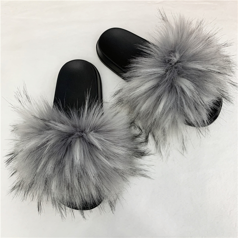 Raton laveur gris