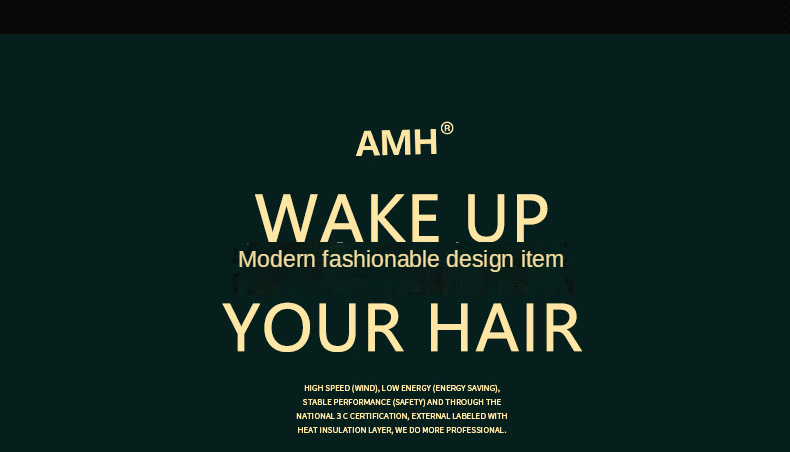 Hot Selling Salon Professional Dc Motor Concentrator/diffuser/ionic And Induction Function Professional Blow Hair Dryer