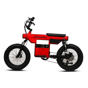2025 Lady elektrikli bisiklet 48V 500W/750W/1000W yağ lastik plaj kruvazörü düşük adım Scrambler ile 7 hız dişliler lityum pil