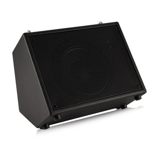 30W fabbrica sassofono Alto altoparlante per pianoforte amplificatore per batteria a percussione amplificatore per pianoforte Woofer