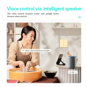 LEELEN Interruptor Zigbee Wall Mounted Switch Customized Icon Alexa Voice Control App Remote Control Tuya Wall Switch