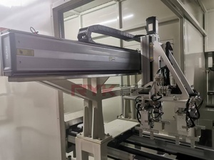 Robot de pórtico industrial personalizado OEM con manipulador de eje XYZ Manipulación automática en módulo lineal Rodamiento de núcleo Riel lineal - Product Image 3