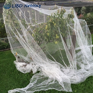 Landwirtschaft liches Anti-Vogel-Netz Verkauf auf HDPE-Vogelschutz netz für Gewächs häuser und Pflanzens chutz UV mit verschiedenen Netz größen - Product Image 3